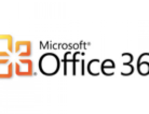 Office 365 plany taryfowe i kamyki